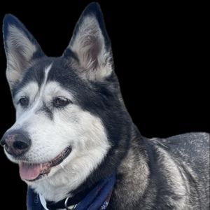 Meet your Posher, Doug